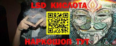 дмт Ставрополь