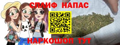 дмт Ставрополь