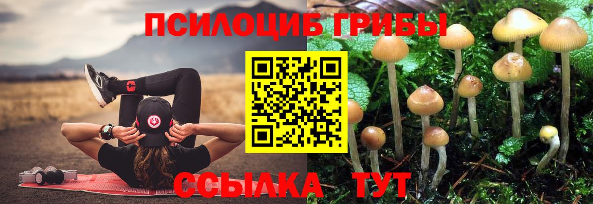 Галлюциногенные грибы Magic Shrooms Похвистнево